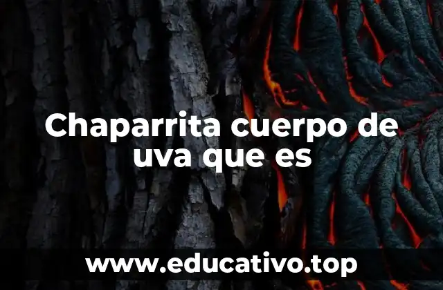 Chaparrita cuerpo de uva que es