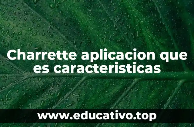 Charrette aplicacion que es caracteristicas