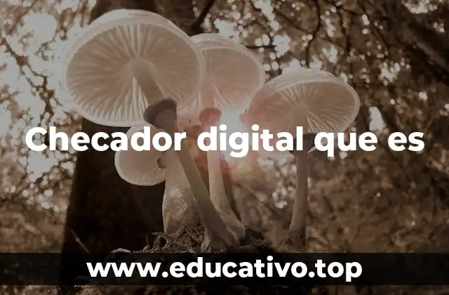Checador digital que es