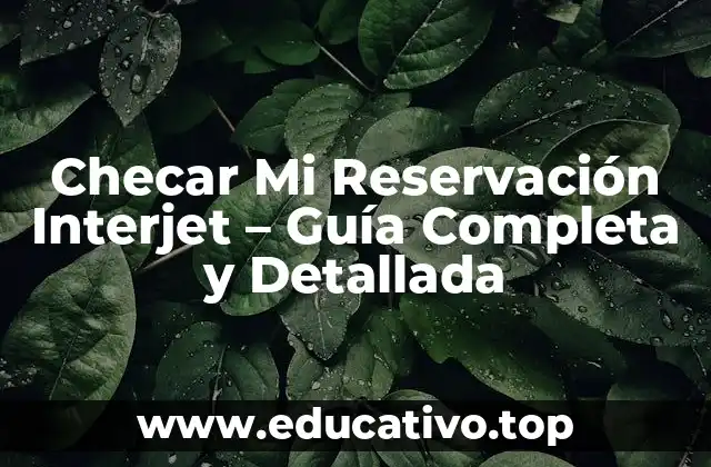 Checar Mi Reservación Interjet – Guía Completa y Detallada