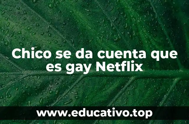 Chico se da cuenta que es gay Netflix