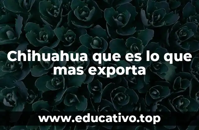 Chihuahua que es lo que mas exporta