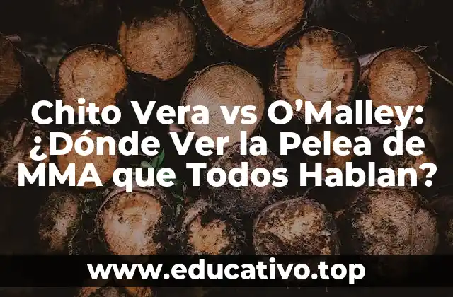 Chito Vera vs O’Malley: ¿Dónde Ver la Pelea de MMA que Todos Hablan?