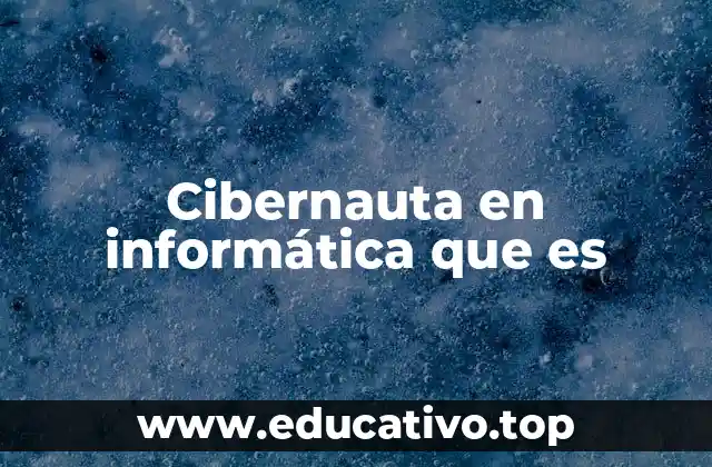 Cibernauta en informática que es