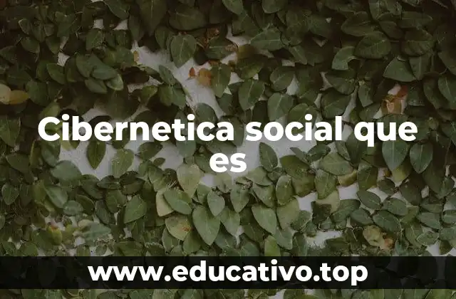 Cibernetica social que es