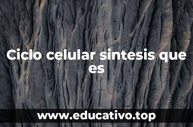 Ciclo celular sintesis que es