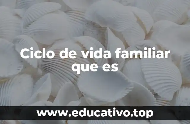 Ciclo de vida familiar que es