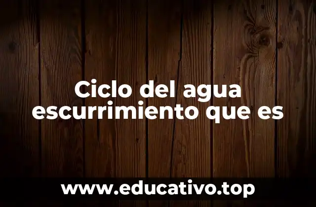Ciclo del agua escurrimiento que es