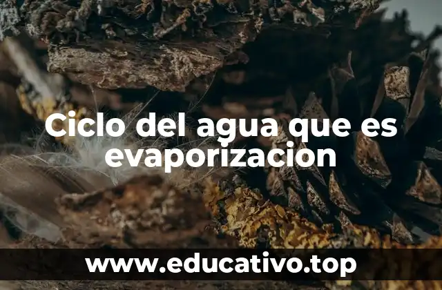 Ciclo del agua que es evaporizacion