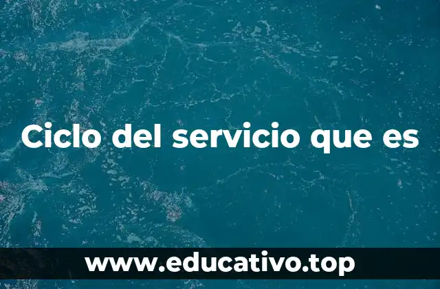Ciclo del servicio que es
