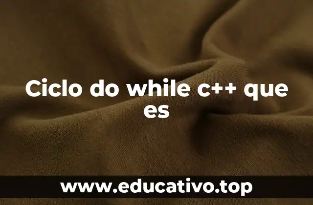 Ciclo do while c++ que es