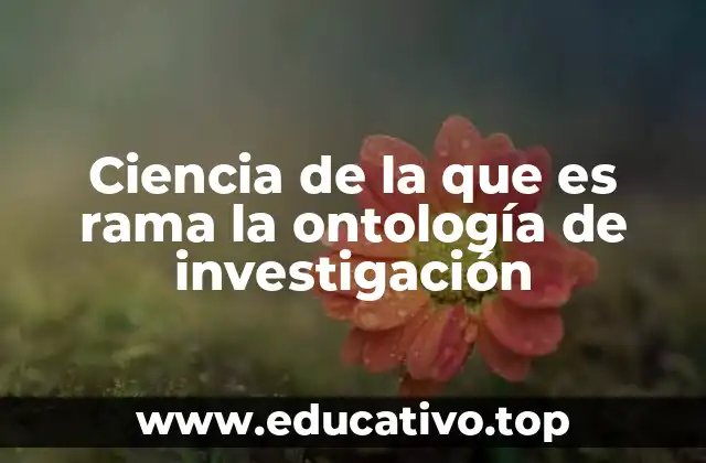 Ciencia de la que es rama la ontología de investigación