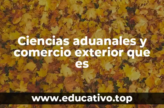Ciencias aduanales y comercio exterior que es