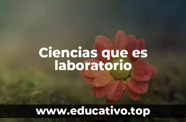 Ciencias que es laboratorio