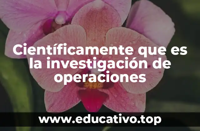 Científicamente que es la investigación de operaciones