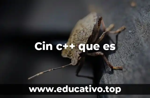 Cin c++ que es