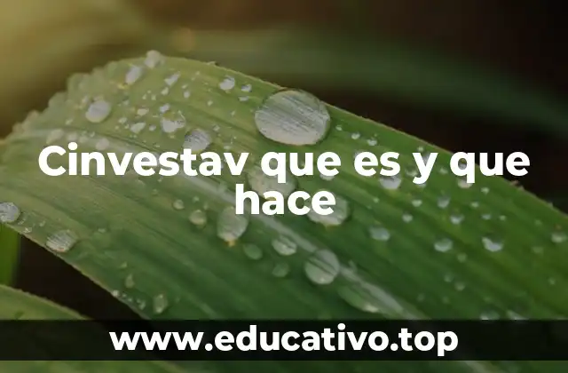 Cinvestav que es y que hace