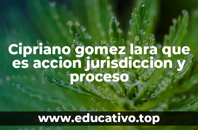 Cipriano gomez lara que es accion jurisdiccion y proceso
