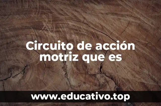 Circuito de acción motriz que es