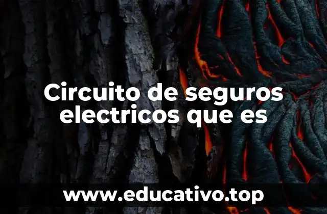 Circuito de seguros electricos que es