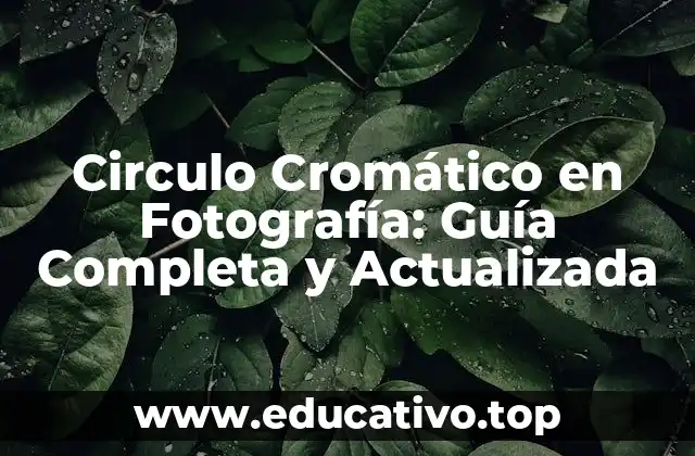 Circulo Cromático en Fotografía: Guía Completa y Actualizada