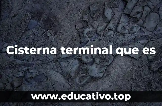 La importancia anatómica y funcional de la cisterna terminal