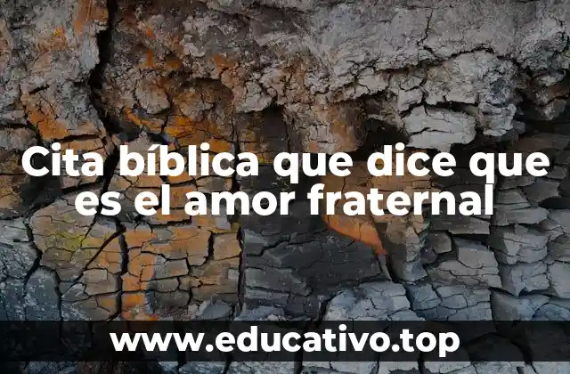 Cita bíblica que dice que es el amor fraternal