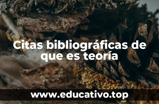 Citas bibliográficas de que es teoría