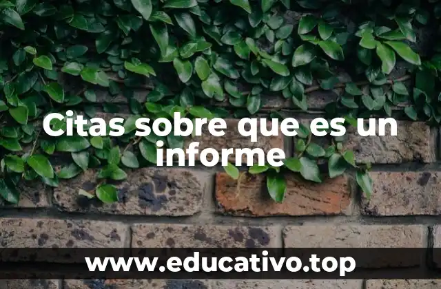 Citas sobre que es un informe