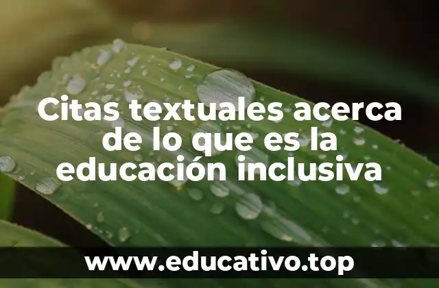 Citas textuales acerca de lo que es la educación inclusiva