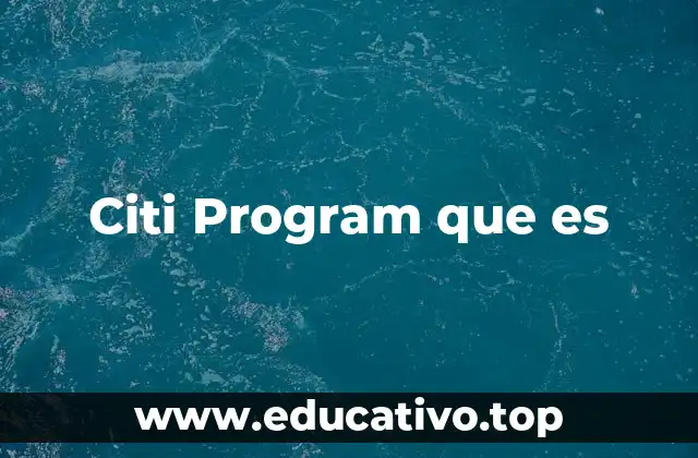 Citi Program que es