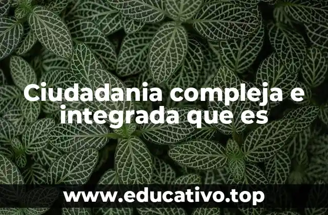 La evolución de la noción de ciudadanía en el mundo globalizado