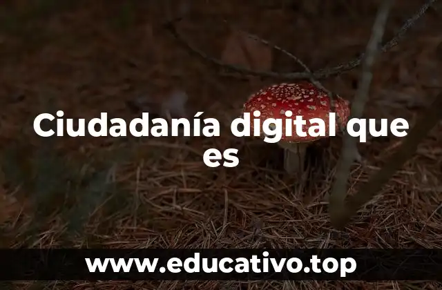 Ciudadanía digital que es