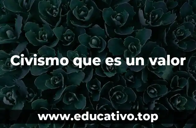 Civismo que es un valor