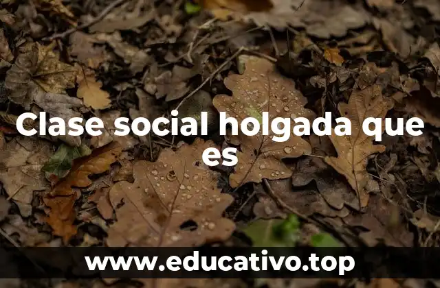 Clase social holgada que es