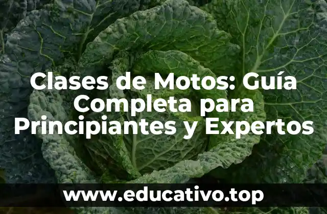 Clases de Motos: Guía Completa para Principiantes y Expertos