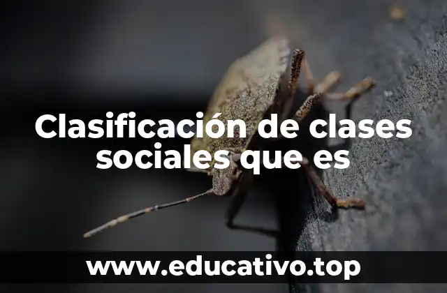 Clasificación de clases sociales que es