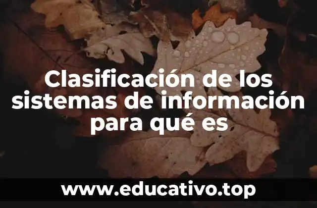 Clasificación de los sistemas de información para qué es