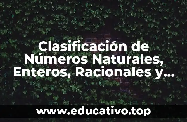 Clasificación de Números Naturales, Enteros, Racionales y Reales: Una Guía Completa