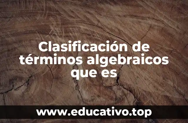 Clasificación de términos algebraicos que es