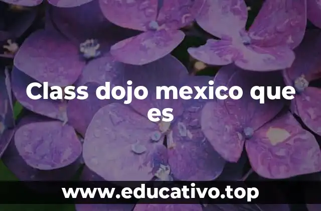 Class dojo mexico que es