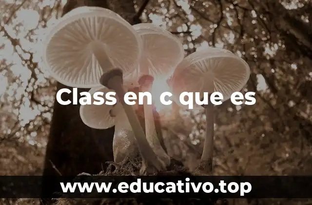 Class en c que es