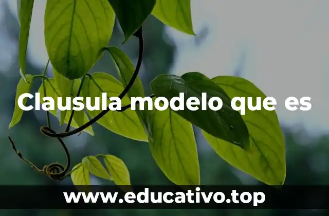 Clausula modelo que es