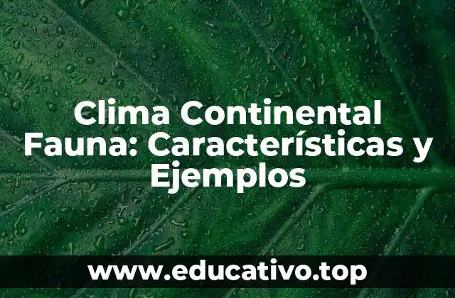 Clima Continental Fauna: Características y Ejemplos
