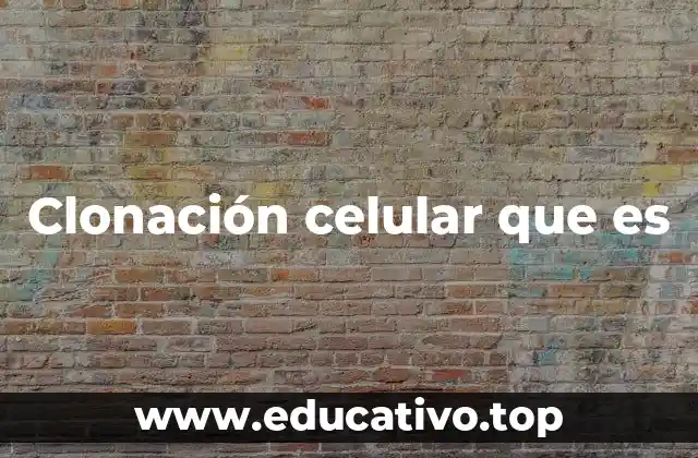 Clonación celular que es