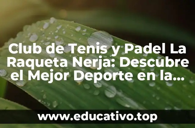 Club de Tenis y Padel La Raqueta Nerja: Descubre el Mejor Deporte en la Costa del Sol