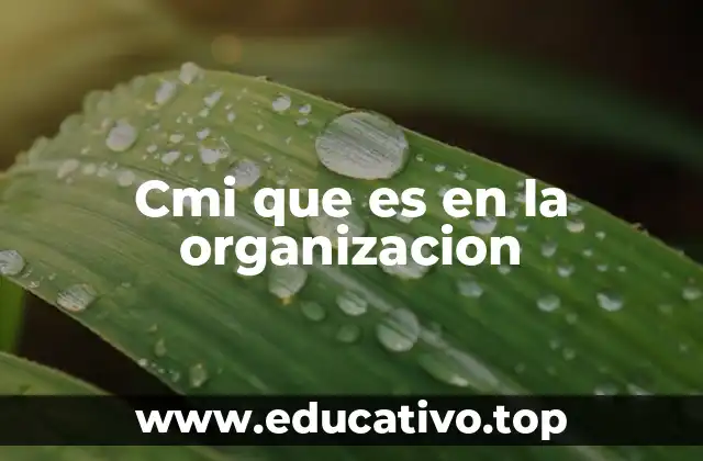 Cmi que es en la organizacion