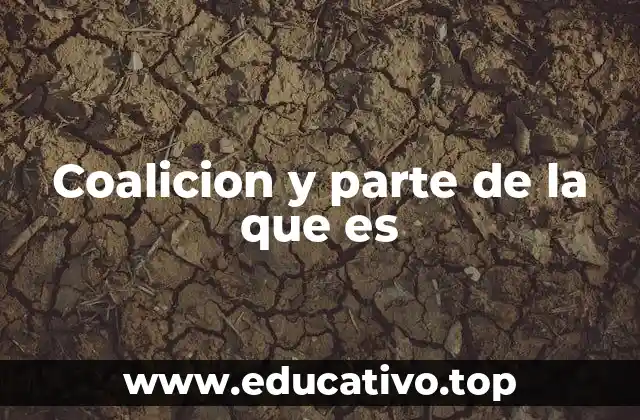 Coalicion y parte de la que es