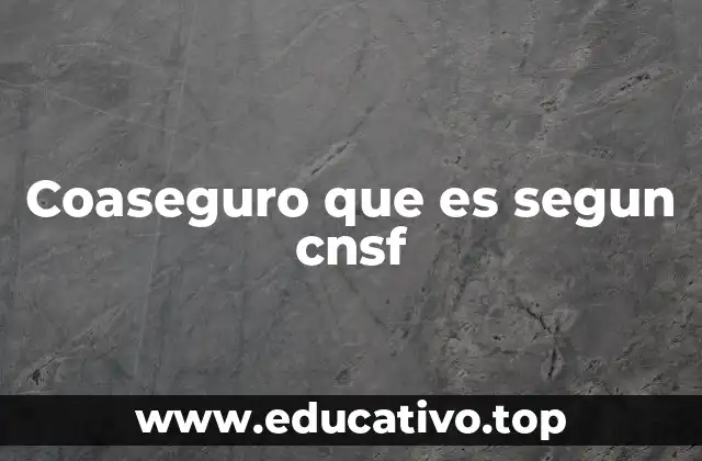 Coaseguro que es segun cnsf