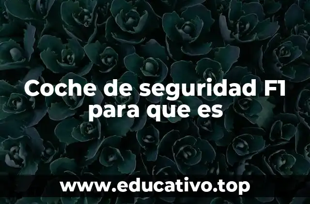 Coche de seguridad F1 para que es